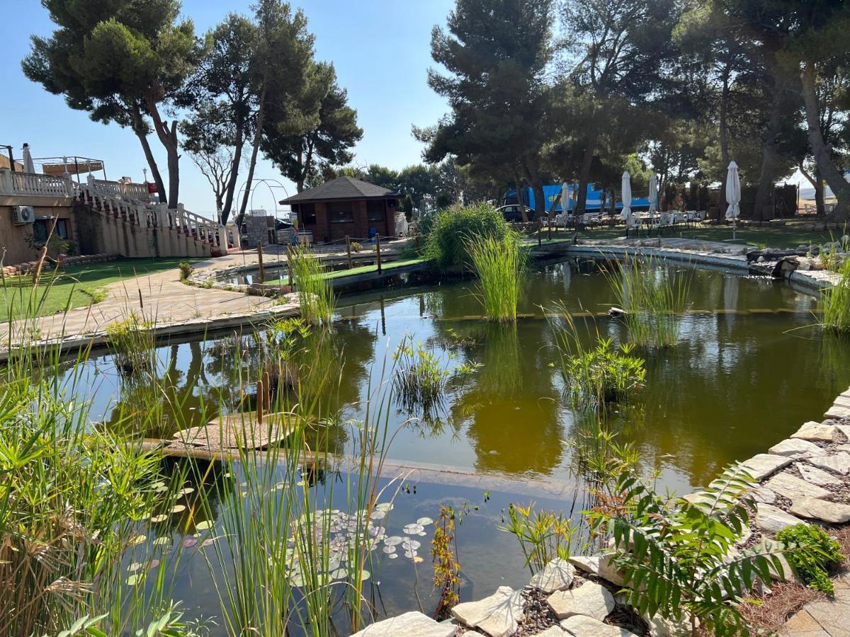 Hotel El Cisne Сарагоса Екстер'єр фото